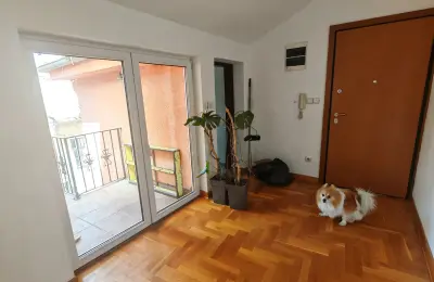 Stan u centru Zemuna