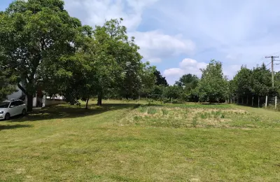 Uređeno imanje 3.000 m² na putu za manastir Krušedol