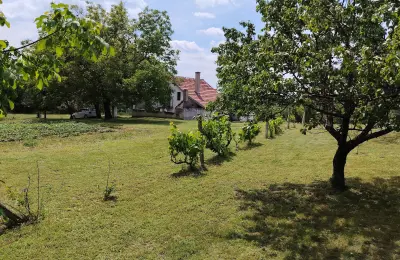 Uređeno imanje 3.000 m² na putu za manastir Krušedol