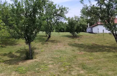 Uređeno imanje 3.000 m² na putu za manastir Krušedol