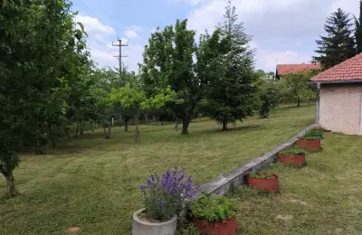 Uređeno imanje 3.000 m² na putu za manastir Krušedol