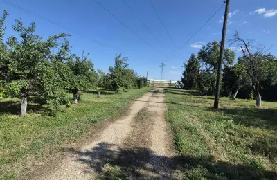 Na prodaju salaš – Rumski drum 69a, Sremska Mitrovica