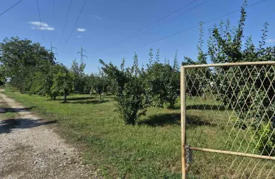 Na prodaju salaš – Rumski drum 69a, Sremska Mitrovica