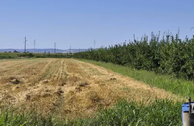 Na prodaju salaš – Rumski drum 69a, Sremska Mitrovica