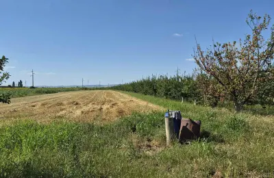 Na prodaju salaš – Rumski drum 69a, Sremska Mitrovica