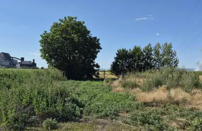 Na prodaju salaš – Rumski drum 69a, Sremska Mitrovica