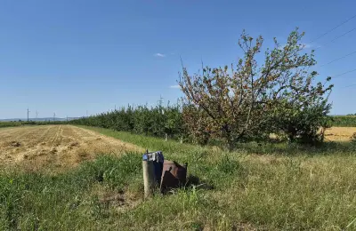Na prodaju salaš – Rumski drum 69a, Sremska Mitrovica