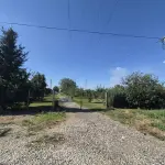 Na prodaju salaš – Rumski drum 69a, Sremska Mitrovica
