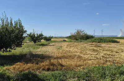 Na prodaju salaš – Rumski drum 69a, Sremska Mitrovica