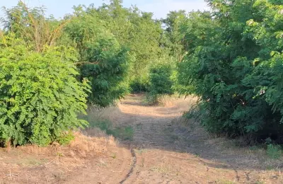 NA PRODAJU KUĆA I VELIKI PLAC – SUBOTICA, SRPSKI ŠOR