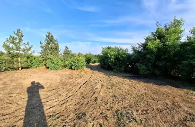 NA PRODAJU KUĆA I VELIKI PLAC – SUBOTICA, SRPSKI ŠOR