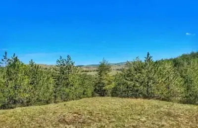 Ekskluzivna prodaja placeva na Zlatiboru