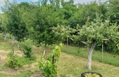 Kuća na prodaju Beograd-Zaklopača