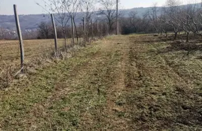 Plac na Varovnicama