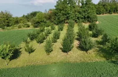 Plac Krčedin, put Janda 7700 m2 + materijal za izgradnju