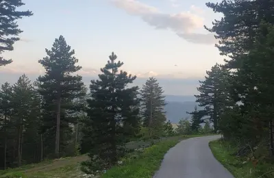 Na prodaju plac na Zlatiboru