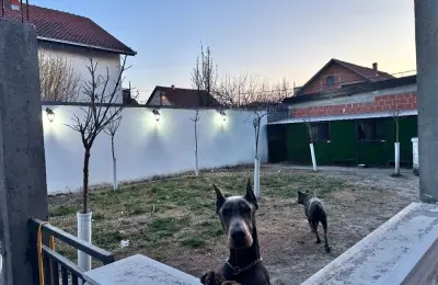 Palilula-Borča 220m2+75m2 na 6.5ari placa