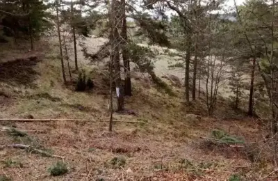 Prodajem plac na Divčibarama