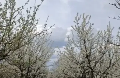 Vikendica na prodaju-Devojački Bunar