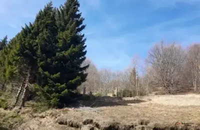 Prodaja parcela na Goliji (gradjevinsko zemljiste sa dozvoljenom gradnjom)