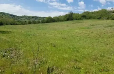 Placevi na prodaju Beočin-Šakotinac
