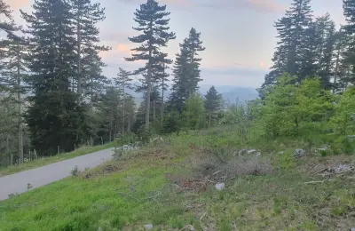 Na prodaju plac na Zlatiboru