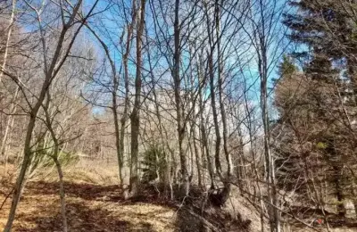 Prodaja parcela na Goliji (gradjevinsko zemljiste sa dozvoljenom gradnjom)