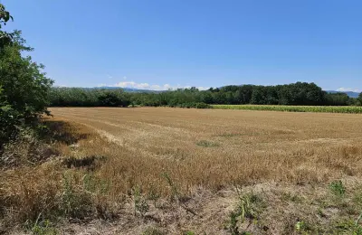 Njiva na prodaju Krćevac kod Topole