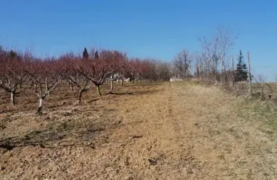 Plac na Varovnicama
