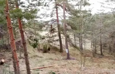 Prodajem plac na Divčibarama