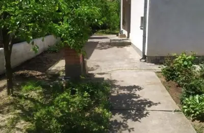 Kuća u Surdulici, 180m2, 6ari placa