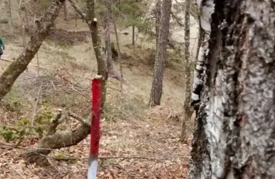 Prodajem plac na Divčibarama
