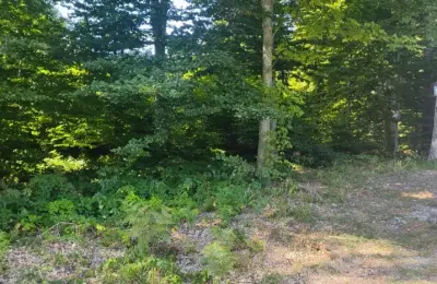 Prodajem plac na planini Goč