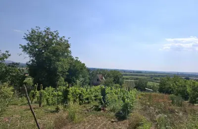 Prodajem vikendicu u Beloj Crkvi