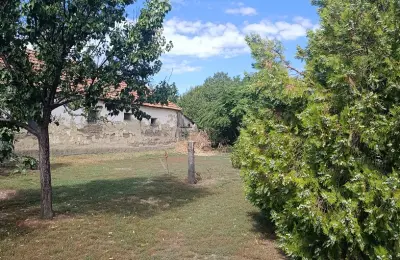 Prodajem kucu u Banatskom Arandjelovu