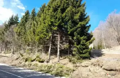 Prodaja parcela na Goliji (gradjevinsko zemljiste sa dozvoljenom gradnjom)