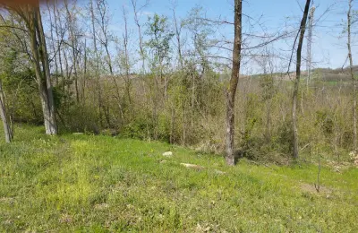 Gradjevinska zemljišta 31 i 45 ari-Jasenak(Obrenovac)