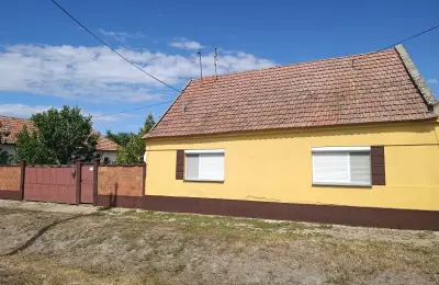 Prodajem kucu u Banatskom Arandjelovu