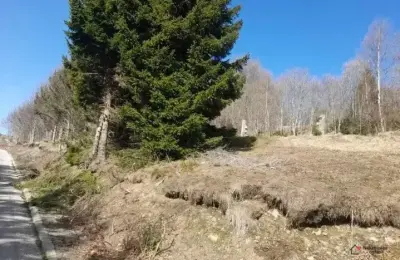 Prodaja parcela na Goliji (gradjevinsko zemljiste sa dozvoljenom gradnjom)