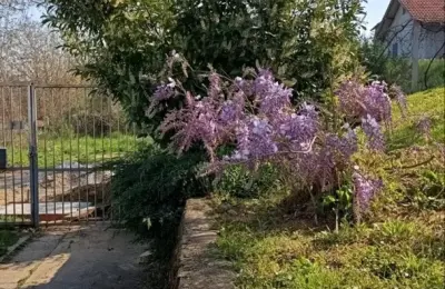 Prodajem kucu na Artiljevu,Sremska Kamenica,Novi Sad