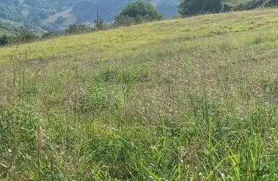 Placevi na prodaju Beočin-Šakotinac