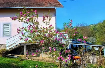Prodajem kucu na Artiljevu,Sremska Kamenica,Novi Sad