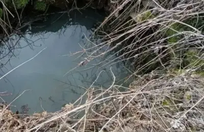 Na prodaju kuca sa zemljistem na Staroj Planini-Senokos