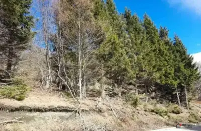 Prodaja parcela na Goliji (gradjevinsko zemljiste sa dozvoljenom gradnjom)