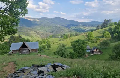 Prodajem plac sa brvnarama na Zlatiboru