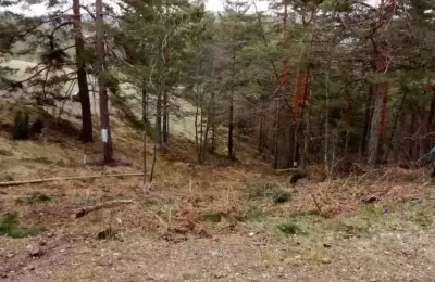 Prodajem plac na Divčibarama