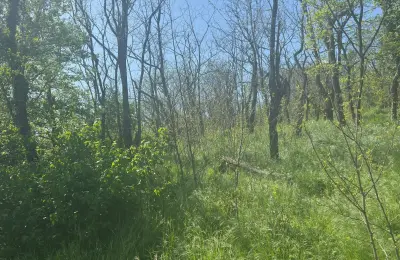Plac na prodaju u podnožju Vršačkog Brega