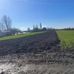 Gradjevinsko zemljiste 23 ara-Golubinci