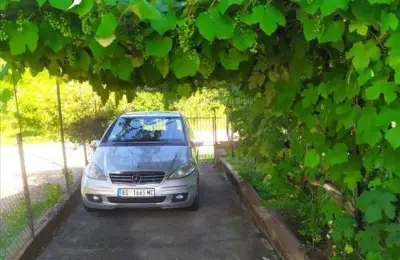 Kuća u Surdulici, 180m2, 6ari placa