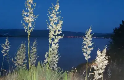 Prodaje se stambeni-vikend objekat,Vinci-Golubac